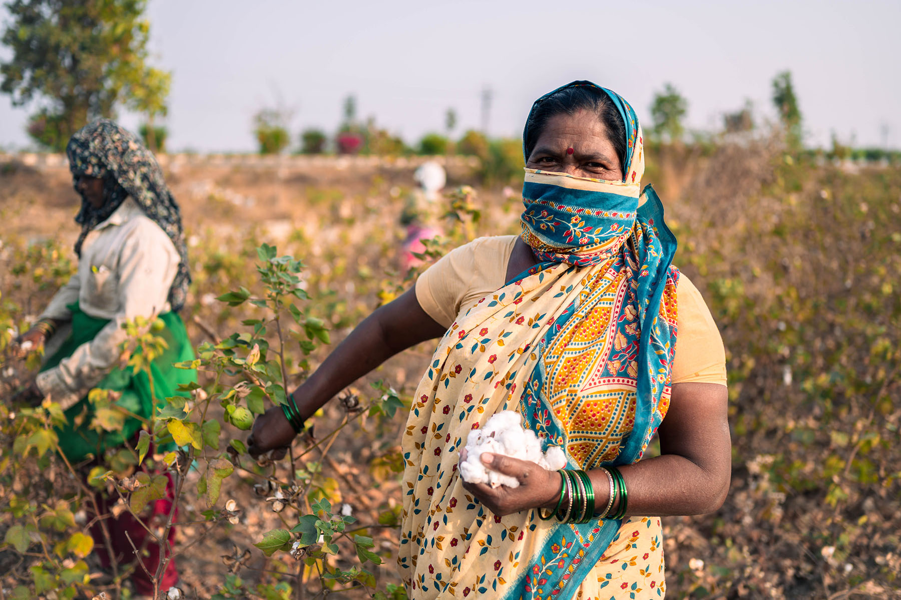 Two women work in a cotton field; one stands in the foreground holding cotton and wearing a colorful sari and face covering.