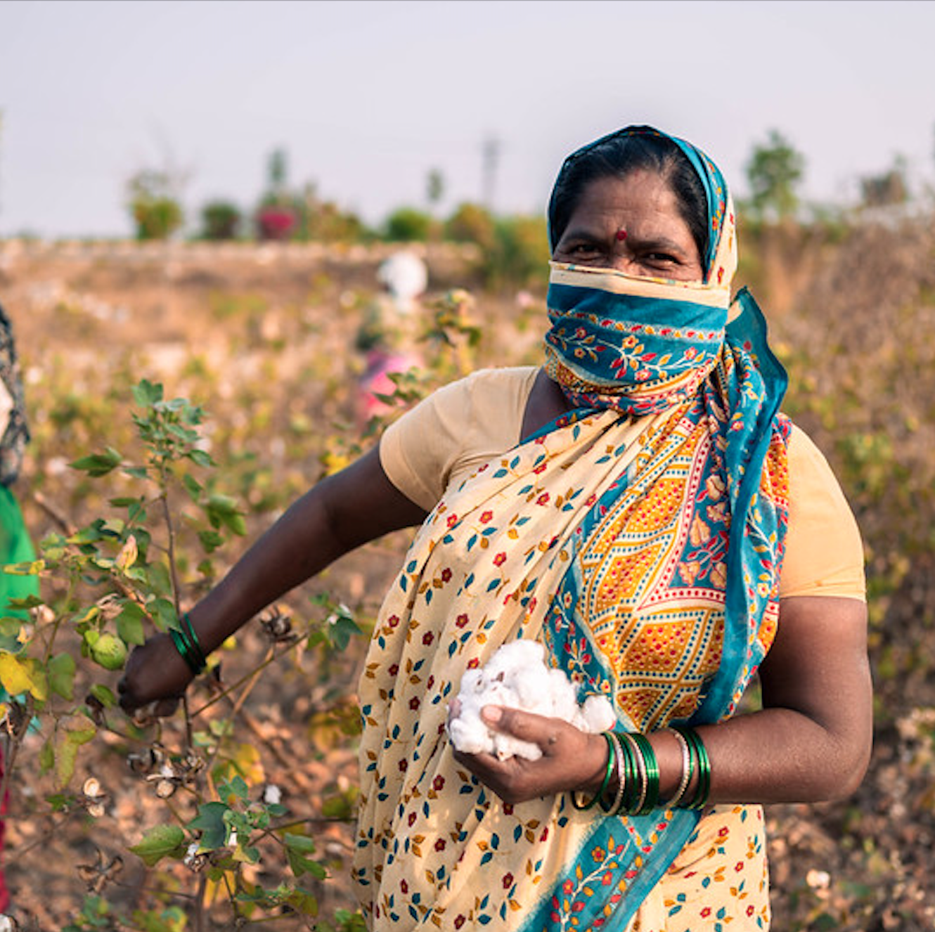 A woman picker pauses with a handful of cotton. Fair pay and safe conditions for pickers are part of what a regenerative programme has to look at, beyond the soil.